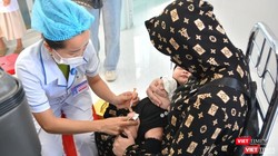 Bộ Y tế dự báo bệnh dại, sởi và cúm gia cầm có nguy cơ tăng cao