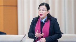 8 lãnh đạo ủy ban, hội đồng của Quốc hội sau sắp xếp là ai?