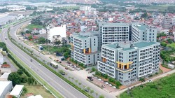 Hà Nội đề nghị công an vào cuộc xử lý 'cò mồi' nhà ở xã hội