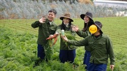 Kẹo Kera của Hằng Du Mục vi phạm: Bị phạt 125 triệu đồng, thu hồi bản tự công bố sản phẩm