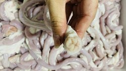 Lòng se điếu bán chợ online chỉ 25.000-40.000 đồng/kg, thịt nhập giá rẻ đổ bộ