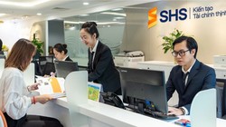 SHS hoàn thành 58 kế hoạch lợi nhuận sau nửa đầu năm. Ảnh: SHS 