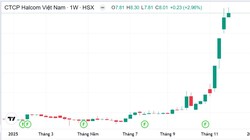 Cổ phiếu HID của Halcom tăng giá liên tục, đạt đỉnh "kịch trần": Đâu là động lực thật sự?