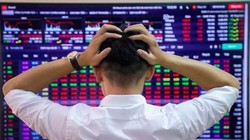 Một số công ty chứng khoán dự báo VN-Index tiếp tục điều chỉnh trong phiên giao dịch hôm nay (11/12) nên nhà đầu tư cần giao dịch cẩn trọng.