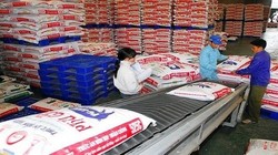 8 tháng đầu năm nay, Việt Nam nhập khẩu gần 2 tỷ USD thức ăn chăn nuôi - (Ảnh minh họa).