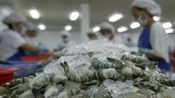 DOC vừa tăng mức thuế chống bán phá giá tôm Việt Nam lên 4,78% - (Ảnh minh họa)