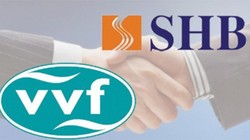 VVF đã chính thức sát nhập vào SHB - (Ảnh minh họa)
