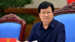 Phó Thủ tướng Trịnh Đình Dũng - (Nguồn Internet)