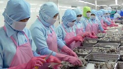 Thủy sản Việt Nam bị trả về do vi phạm an toàn thực phẩm - (Ảnh minh họa)