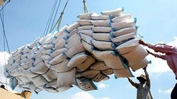 Năm 2015, Tổng công ty Vinafood 2 lỗ khoảng 9 tỷ đồng.