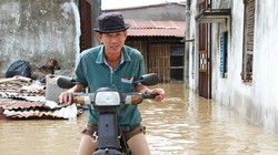 Các con hẻm dẫn vào nhà dân nước vẫn ngập quá đầu gối