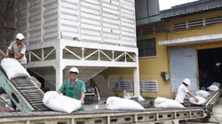 Dừng xuất khẩu gạo sang thị trường Mỹ vì có dư lương thuốc bảo vệ thực vật vượt mức.