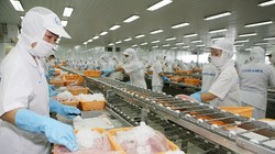 Thủy sản Việt Nam bị cảnh báo dư kim loại nặng - (Ảnh minh họa)