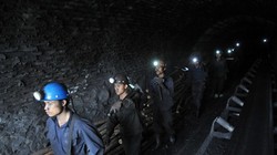 TKV dự tính cắt giảm 4.000 nhân sự