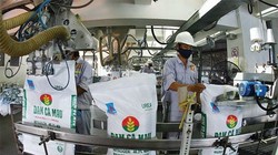 Đạm Cà Mau đang là thương hiệu số 1 ĐBSCL