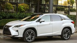 Lexus RX350 bị triệu hồi tại Việt Nam.