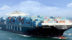 Hãng tàu Hanjin Hàn Quốc tồn hơn 4.000 container tại TP HCM.
