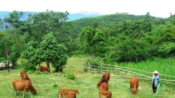 Ảnh minh họa. Nguồn Internet