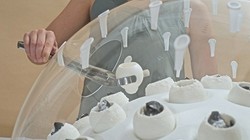 Nhựa được cho vào lớp vỏ làm bằng thạch dẻo. 