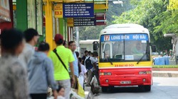 Năm 2017, dự kiến Sở GTVT Hà Nội sẽ thay thế và đầu tư mới 300 xe buýt.