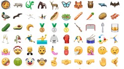 Ảnh minh họa. Nguồn Internet