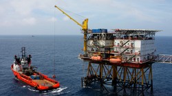 Các DN xăng dầu đang giảm đáng kể lợi nhuận