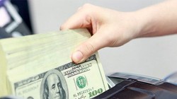 Tỷ giá USD/VND trung tâm tiếp tục giảm 5 đồng