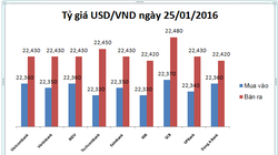 Tỷ giá USD/VND hôm nay (25/01): Đua nhau hạ giá