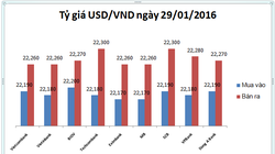 NHNN lại hạ tỷ giá trung tâm, USD nhà băng thi nhau rớt