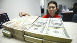 Ngân hàng Nhà nước hôm nay bắt đầu mua vào ngoại tệ - Ảnh: TL TBKTSG