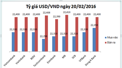 Tỷ giá USD/VND chốt tuần khai niên Bính Thân trong thinh lặng