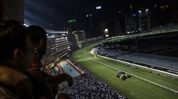 Ngành kinh doanh đua ngựa tỷ USD ở Hong Kong