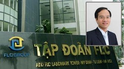 HĐQT FLC đã cử ông Trần Thế Anh làm người đại diện vốn góp của FLC tại Công ty TNHH sản xuất đồ uồng FLC.