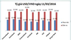 Tỷ giá USD/VND hôm nay (11/3): Techcombank "kiêu" nhất