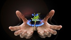 Góc nhìn chuyên gia tuần mới: Cổ phiếu dòng P đã chạm đến các điểm bán