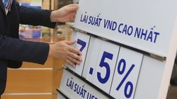 Chênh lệch lãi suất giữa một số thành viên khối ngân hàng thương mại nhà nước so với khối ngân hàng thương mại cổ phần tư nhân hiện đã thu hẹp chỉ còn trên dưới 0,5%/năm, thay vì doãng rộng từ 1-1,5%/năm khoảng một năm trước - Ảnh: Quang Phúc.