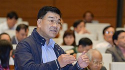 Đại biểu Nguyễn Ngọc Bảo cho rằng áp thuế tự vệ thương mại cần chú ý đến yếu tố thị trường. Ảnh: Quochoi.vn