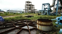 Cỏ dại mọc um tùm tại dự án mở rộng Nhà máy gang thép Thái Nguyên giai đoạn hai, nhiều thiết bị tại dự án này đang có dấu hiệu bị gỉ sét sau nhiều năm "đắp chiếu" - Ảnh: Nguyễn Khánh