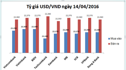 Tỷ giá USD/VND lững lững dâng cao
