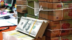 Thay vì vay ngoại tệ trong dân cư, Chính phủ đang đi bằng con đường khác và sẽ cần nhiều thời gian để kiểm chứng kết quả: kích thích chuyển đổi vốn ngoại tệ trong dân cư.