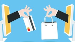 Các website thương mại điện tử của các doanh nghiệp có doanh thu lớn đa phần thuộc nhóm kinh doanh các mặt hàng như vé máy bay, đồ điện lạnh, thiết bị gia dụng, đồ điện tử và kỹ thuật số, thiết bị âm thanh, hình ảnh... 