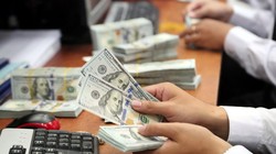 Điều hành chính sách ngoại tệ cần những bước đi linh hoạt - Ảnh: Đào Ngọc Thạch