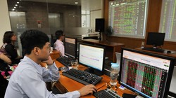 Góc nhìn chuyên gia tuần mới: Nhóm cổ phiếu nào sẽ là tâm điểm?