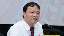 Thứ trưởng Bộ Công Thương Đỗ Thắng Hải.