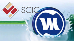 Vinamilk cấp tập “chia phần”: SCIC đòi bằng hết?