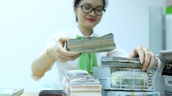 Đưa lãi suất USD lên khỏi mặt đất cũng đúng cả nghĩa đen và nghĩa bóng. Đó là nâng lãi suất lên trên 0% sẽ tạo động lực kéo nguồn ngoại tệ nhàn rỗi đang “chôn dưới đất” trong dân cư - Ảnh: Quang Phú