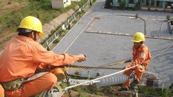 Chính phủ bảo lãnh khoản vay cho đường dây 500 KV Vĩnh Tân - Tân Uyên