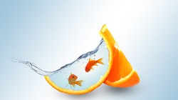 Top 10 cổ phiếu tăng/giảm mạnh nhất tuần qua: Cặp đôi hoàn hảo