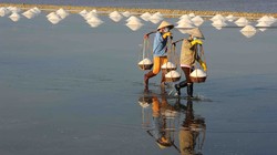 Ảnh minh họa. (Nguồn: Internet)