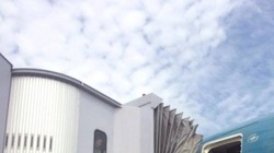 Sự cố hy hữu của chuyến bay VN237.